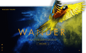 Website laten maken door full service marketingbureau Business Stylist